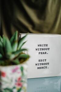 Image: A decorative paper weight with, "write without fear. Edit without mercy" on the tile paperweight behind a small desk plant..