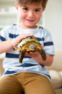 Young boy holding a pet turtle.